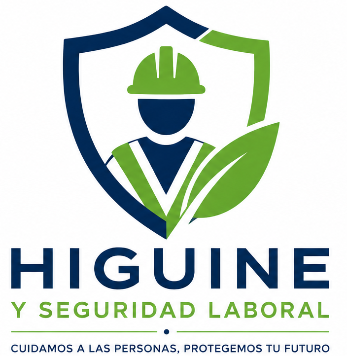HyS Logo